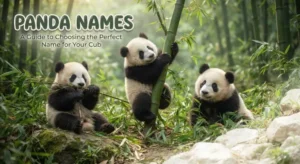 Panda names with names generator